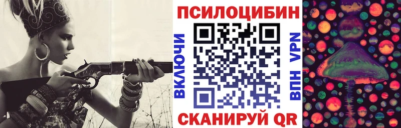 где купить наркотик  Абинск  нарко площадка официальный сайт  Псилоцибиновые грибы Psilocybe 